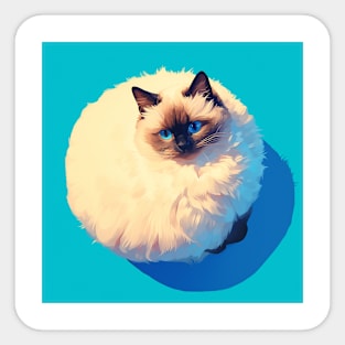 Blue Gaze Fluff: Ragdoll Serenity Sticker